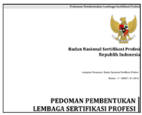 Pedoman BNSP 202